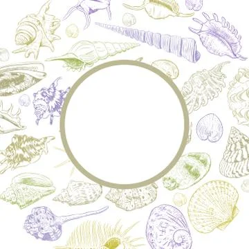 Round composition Summer concept with Unique museum collection of sea shells  Stock Illustration