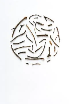 Round composition of various dry pine branches on a white background. Minimal Stock Photos