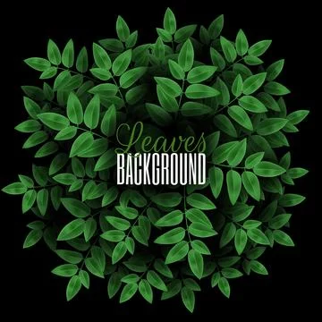 Round concept composition with plants. Natural Realistic Overgrown tree branc Stock Illustration