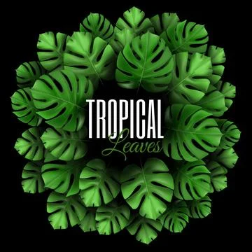 Round concept composition with tropical plants. Natural Realistic Green Palm  Ilustração Stock