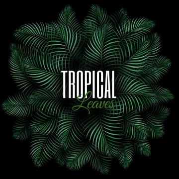 Round concept composition with tropical plants. Natural Realistic Green Palm  Stock Illustration