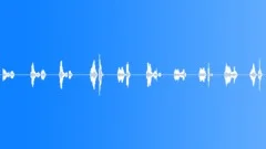 Round Count Rough 1 Sound Effect