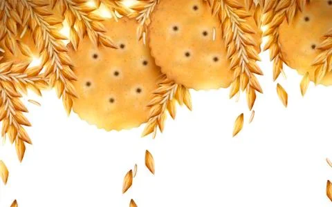 Round cracker and wheat background Illustrazione stock