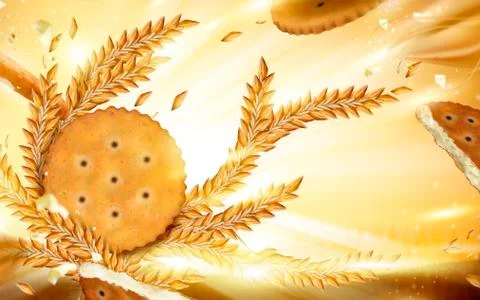 Round cracker and wheat background Illustrazione stock