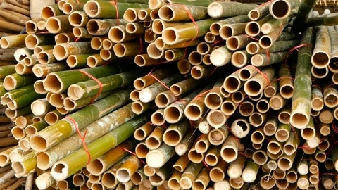 Round cross sliced bamboo trunk bundles in stack prepared for use as a building Stock Footage 100159582