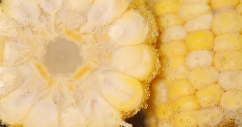 Round cut corn under water with air bubbles. Stock Footage 127539217
