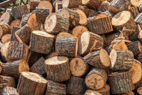 Round cut pine tree pieces pile for country road paving Stock Photos