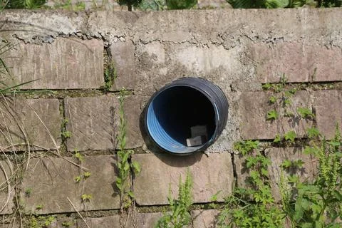 Round drainage pipe set into a weathered concrete wall with creeping green .. Stock Photos