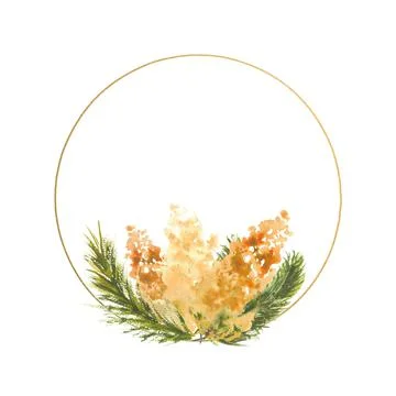 Round elegant gold frame with a composition of Mimosa branches on a white Stock-Illustration
