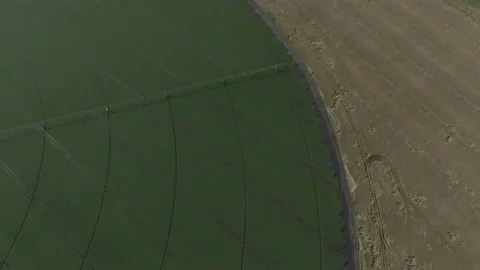 Round field of potatoes from the top Stock Footage 142031744