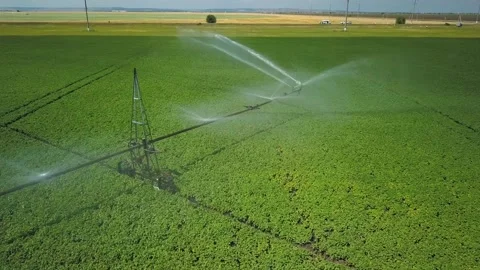 Round flight over irrigation system on field at sunny summer day, aerial shot Stock Footage 143130270