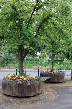 Round flower bed with trees and a public bench Circa July 2023 UK Stock Photos