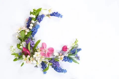 Round flower flat lay from different wildflowers on a white background. Top view Stock Photos