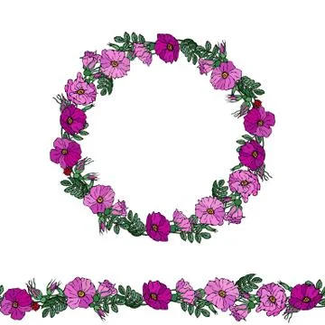 Round Frame and Endless Brush with Wild Roses. Summer Flowers Greeting Card o Stock Illustration