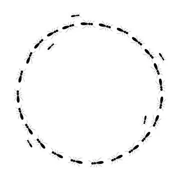 Round frame. Ant trail silhouette, a path of insects in search of food. Isolated Stock Illustration