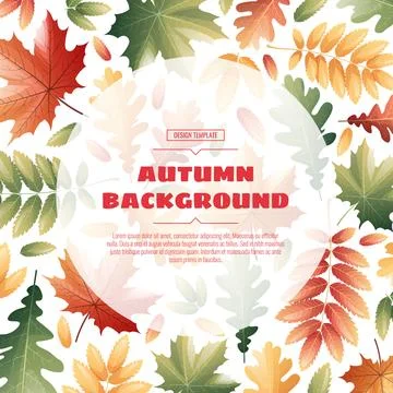 Round frame with autumn leaves of maple, rowan, oak. Autumn background with v Stock Illustration