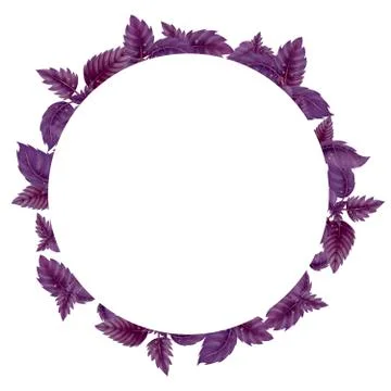 Round frame of Basil leaves and branches Stock Illustration