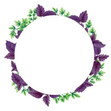 Round frame of Basil leaves and parsley Stock Illustration