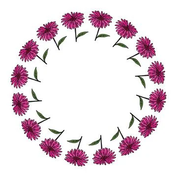 Round frame with beautiful pink echinacea on white background. Vector image. Stock-Illustration