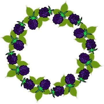 Round frame with blackberries. Circle with forest purple berries. Berries in a イラスト素材