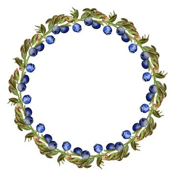 Round frame with blueberry Stock Illustration