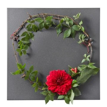 Round frame of branches and red rose Stock-Fotos