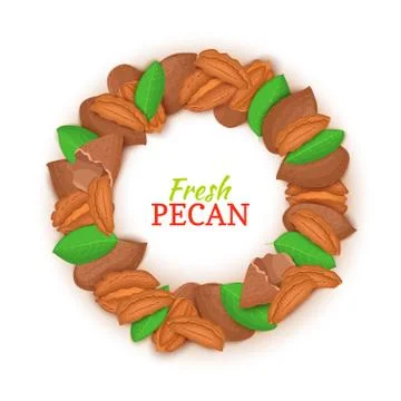 Round frame composed of pecan nut. Vector card illustration. Stock-Illustration