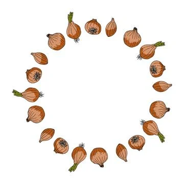 Round frame with creative onions on white background. Vector image. イラスト素材