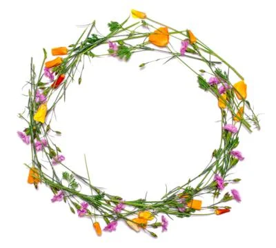 Round frame of delicate flowers. Spring yellow, purple, pink flowers on white Stock Photos