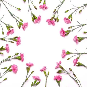 Round frame of delicate flowers. Spring pink flowers on white background Foto stock