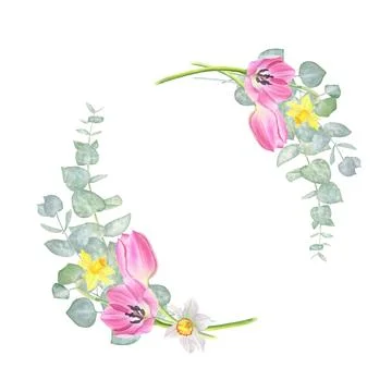 Round frame of eucalyptus, daffodil and pink tulips. Watercolor illustration Stock Illustration