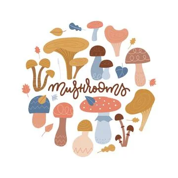 Round frame with forest mushrooms. Circle composition for card, banner or Stock Illustration