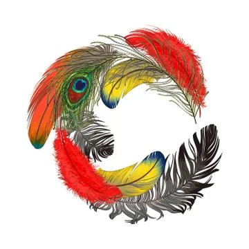 Round frame formed by bird feathers with space for text Stock-Illustration