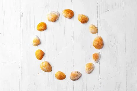 Round frame formed from sea shells on white wooden background, top view Stock Photos