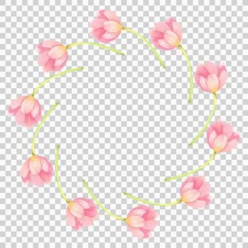 Round frame of fresh tulips. Spring pink flowers hand painted in watercolor. Stock Illustration