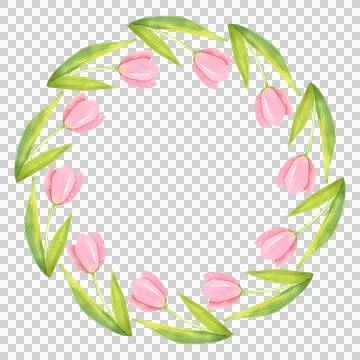 Round frame of fresh tulips. Spring pink flowers hand painted in watercolor. Illustrazione stock