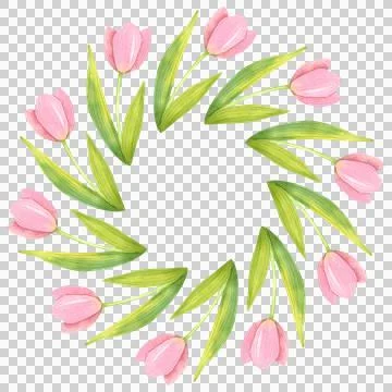 Round frame of fresh tulips. Spring pink flowers hand painted in watercolor. Stock Illustration