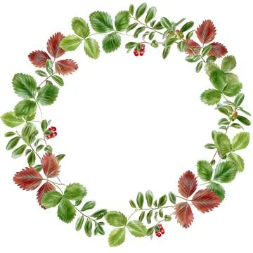 Round frame of green and red strawberry leaves Stock Illustration