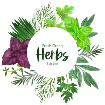 Round frame with hand drawn herbs Stock Illustration