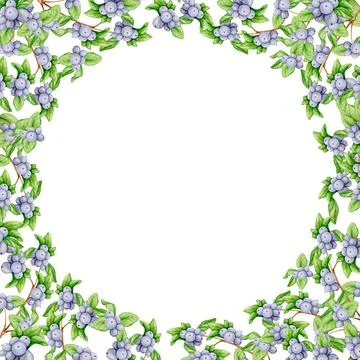 Round frame made of branches with black berries. Watercolor illustration Stock Illustration