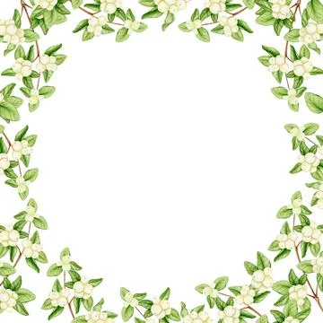 Round frame made of branches with white berries. Stock Illustration