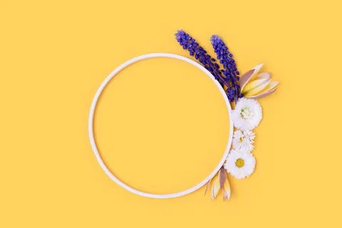 Round frame made of chamomile, tulip and muscari flowers. Stock Photos
