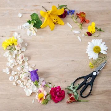 Round frame made of different flowers with florist scissors on wooden backgro Stock Photos