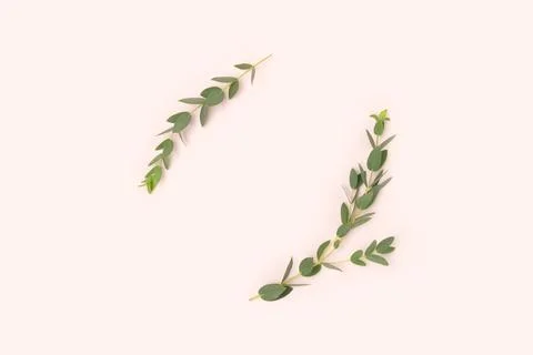 Round frame made of eucalyptus branches on a beige background. Stock Photos