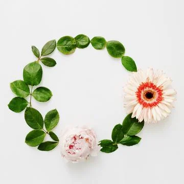 Round frame made peony gerbera flowers with green leaves Stock Photos