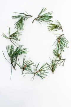 Round frame made of pine branches Stock Photos