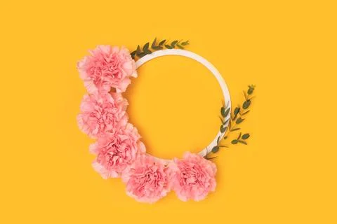 Round frame made of pink carnation flowers and green eucalyptus branches. Stock Photos
