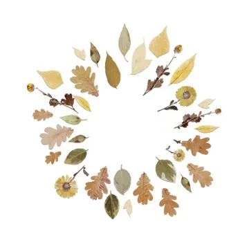 Round frame or wreath made of realistic autumn leaves. Autumn leaf fall Stock Illustration