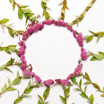Round frame with pink fields flowers Stock Photos