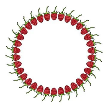 Round frame with raspberry on white background. Vector image. Illustrazione stock